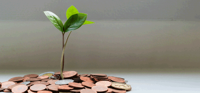 Essential Strategies